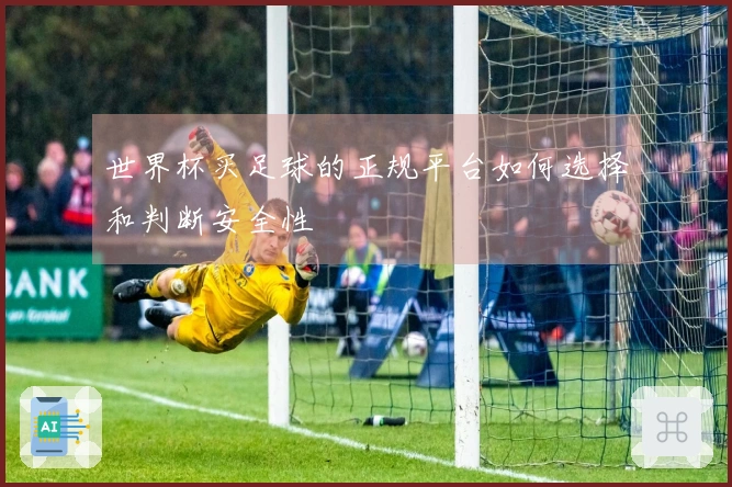 世界杯买足球的正规平台如何选择和判断安全性