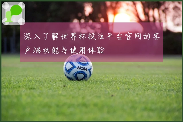 深入了解世界杯投注平台官网的客户端功能与使用体验