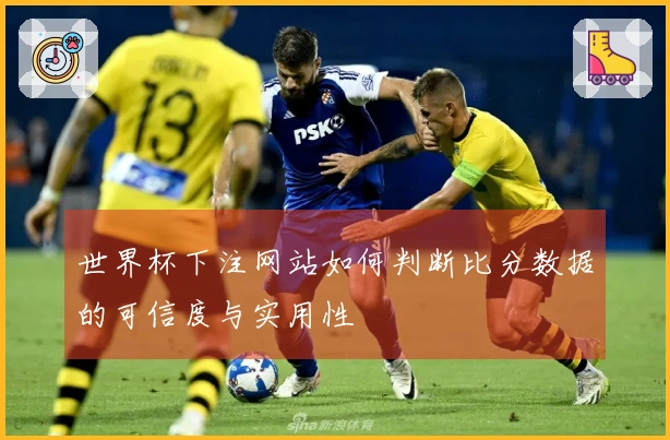 世界杯下注网站如何判断比分数据的可信度与实用性