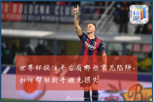 世界杯投注平台有哪些常见陷阱，如何帮助新手避免损失