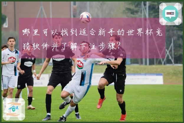 哪里可以找到适合新手的世界杯竞猜软件并了解下注步骤？