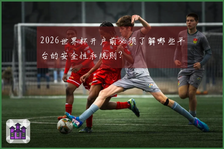 2026世界杯开户前必须了解哪些平台的安全性和规则？