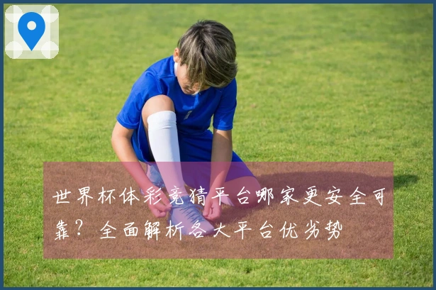 世界杯体彩竞猜平台哪家更安全可靠?全面解析各大平台优劣势