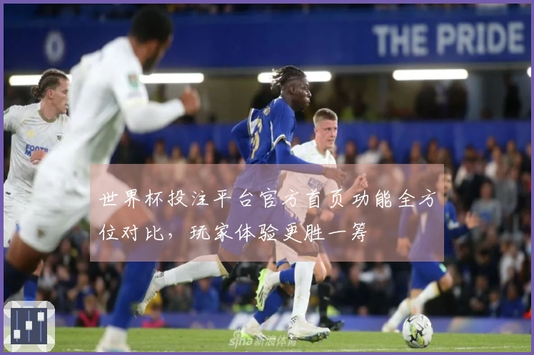 世界杯投注平台官方首页功能全方位对比，玩家体验更胜一筹