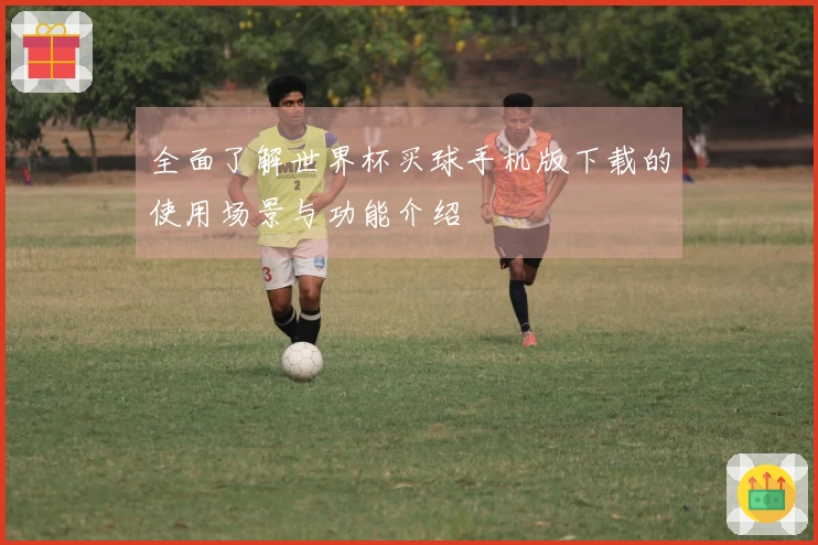 全面了解世界杯买球手机版下载的使用场景与功能介绍