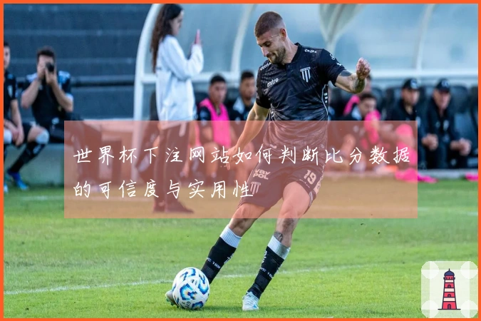 世界杯下注网站如何判断比分数据的可信度与实用性