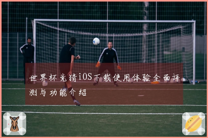 世界杯竞猜iOS下载使用体验全面评测与功能介绍