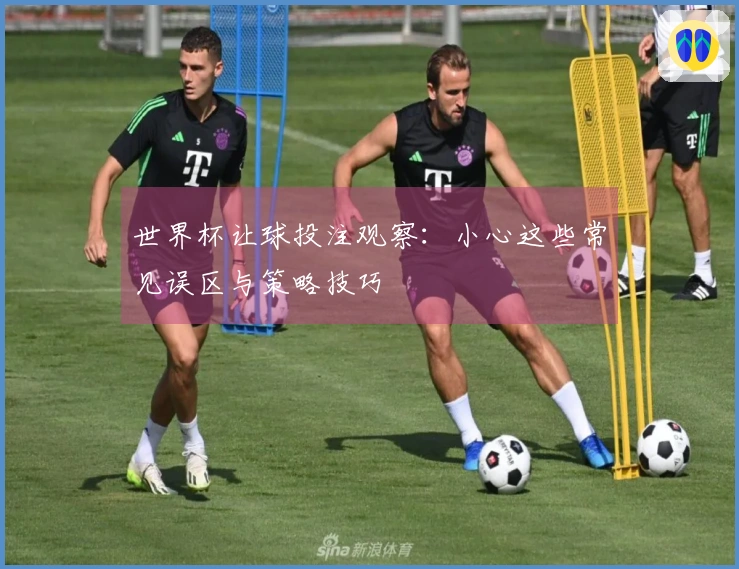 世界杯让球投注观察:小心这些常见误区与策略技巧