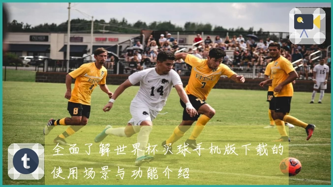 全面了解世界杯买球手机版下载的使用场景与功能介绍