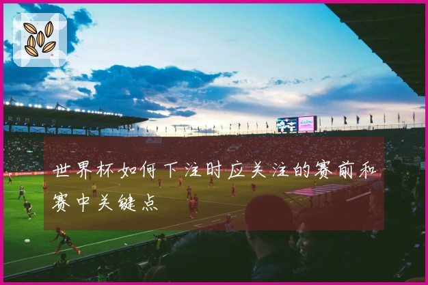 世界杯如何下注时应关注的赛前和赛中关键点