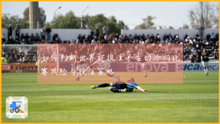 如何判断世界杯投注平台的冷门比赛风险与投注策略
