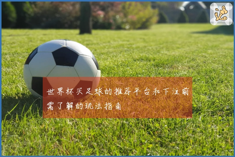 世界杯买足球的推荐平台和下注前需了解的玩法指南