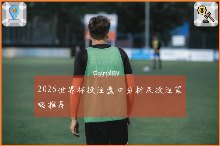 2026世界杯投注盘口分析及投注策略推荐