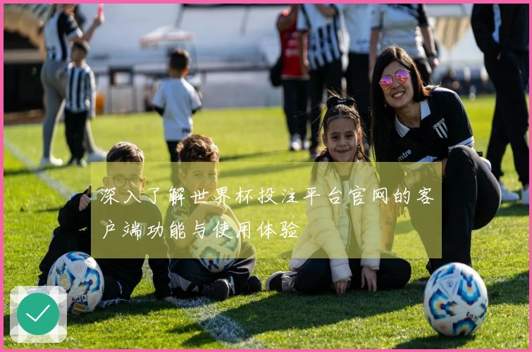 深入了解世界杯投注平台官网的客户端功能与使用体验