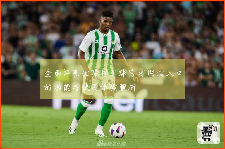 全面评测世界杯买球官方网站入口的功能与使用体验解析