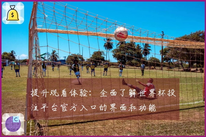 提升观看体验：全面了解世界杯投注平台官方入口的界面和功能