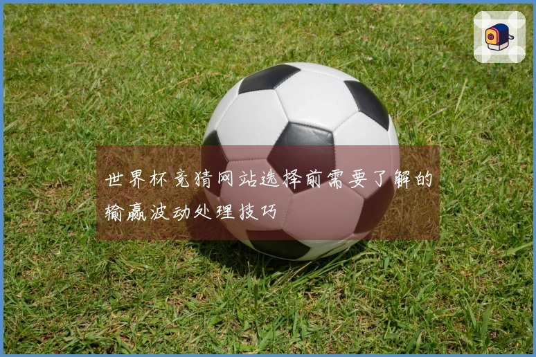 世界杯竞猜网站选择前需要了解的输赢波动处理技巧
