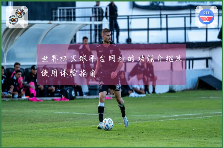 世界杯买球平台网址的功能介绍及使用体验指南
