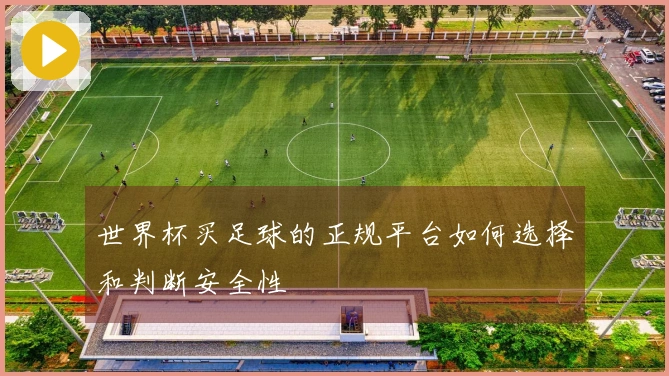 世界杯买足球的正规平台如何选择和判断安全性