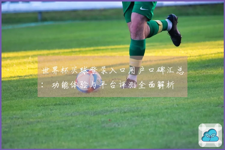 世界杯买球登录入口用户口碑汇总：功能体验与平台评测全面解析