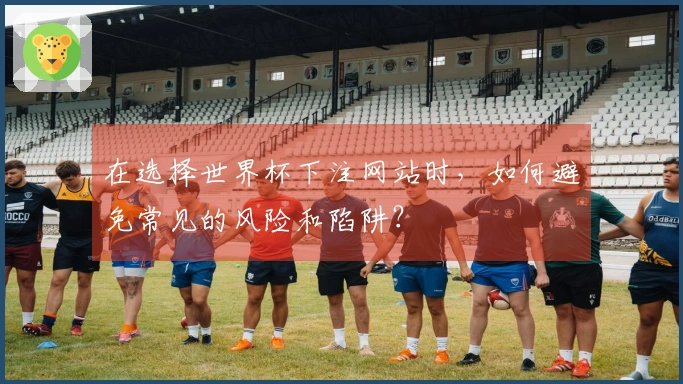 在选择世界杯下注网站时，如何避免常见的风险和陷阱？